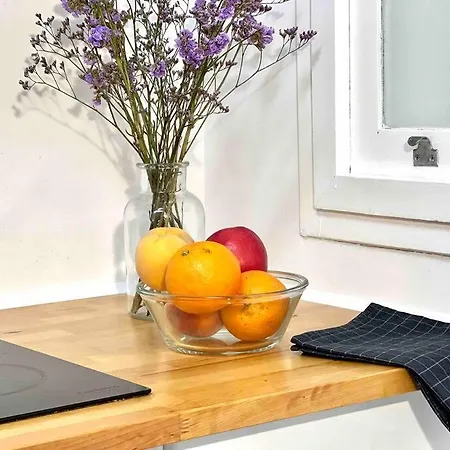 Palmeras1 Santa Cruz de Tenerife